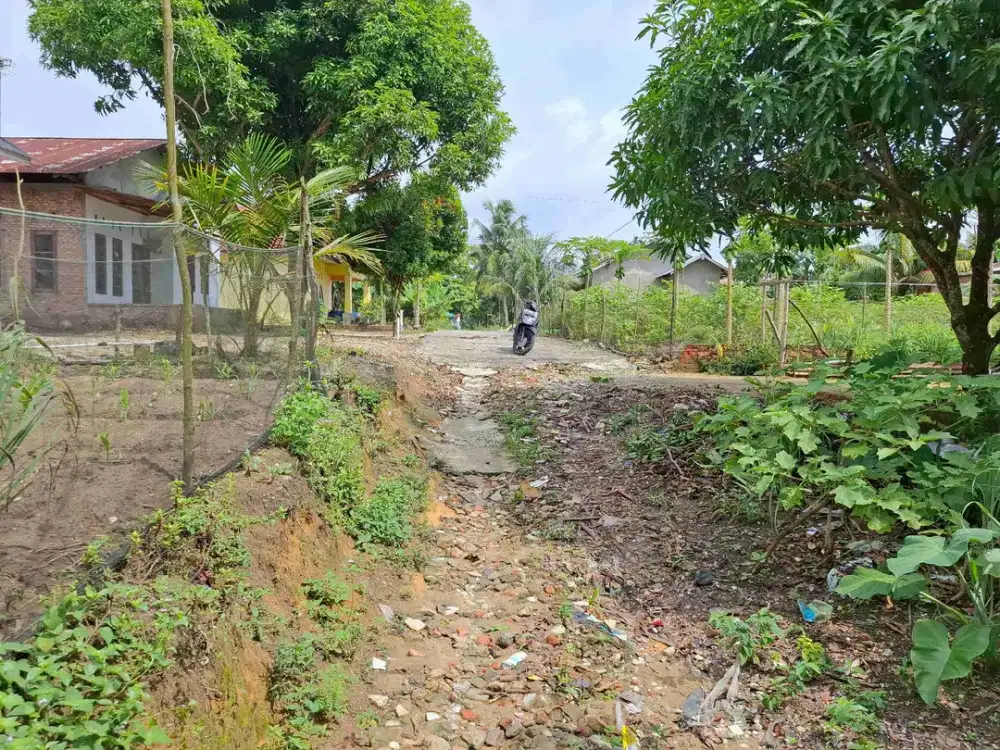 Tanah murah di kulim 160m dari jalan lintas