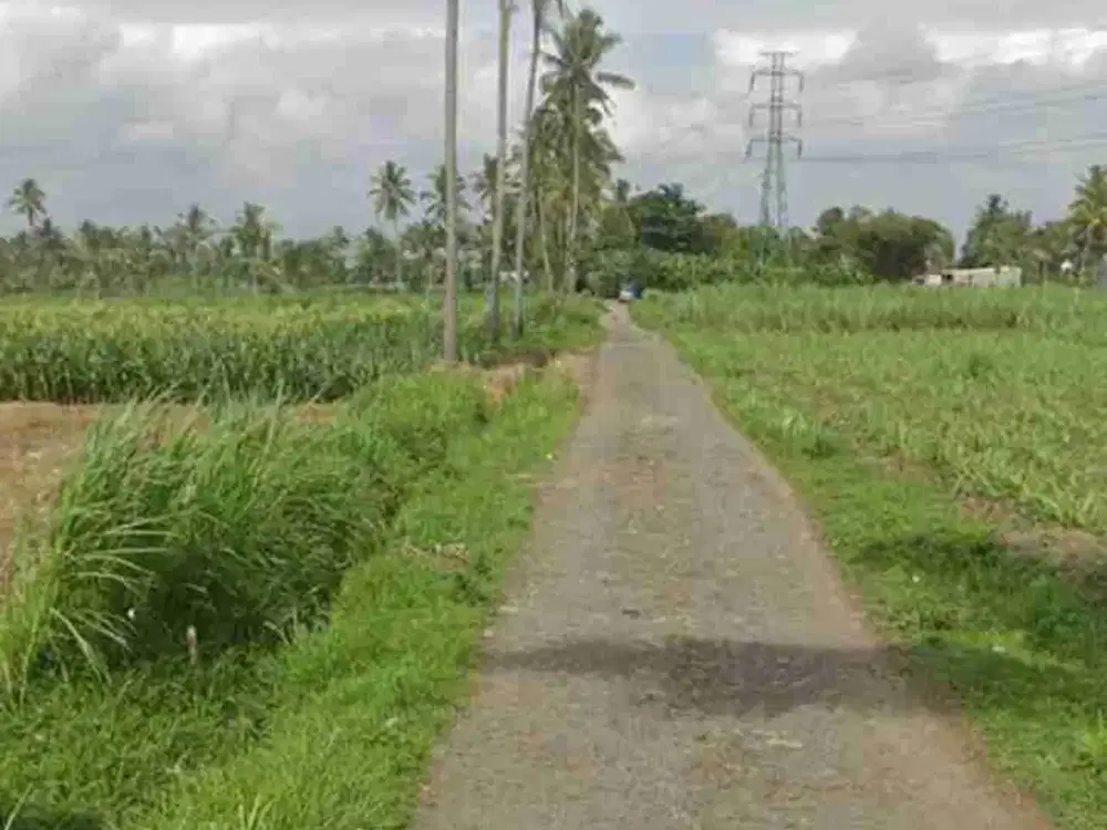 LAHAN PERTANIAN LOKASI SUMBER KERADENAN PAKIS MALANG