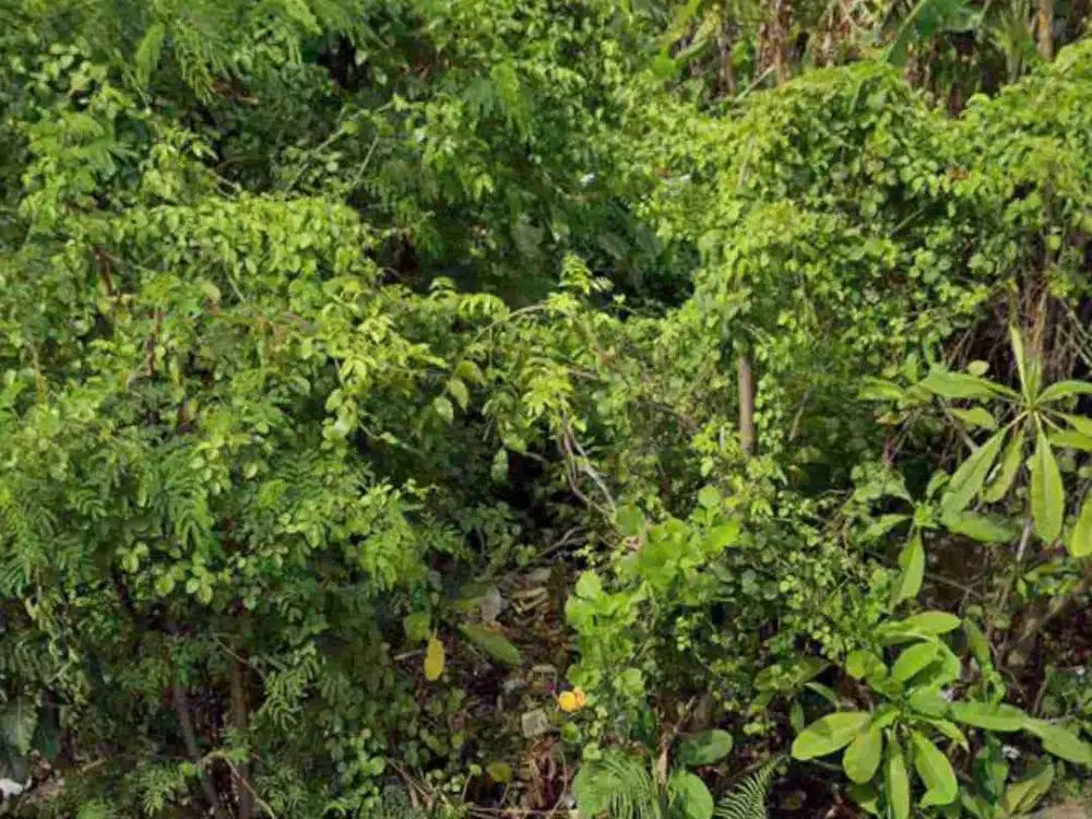 DIJUAL  TANAH  7.41  ARE  DI DENPASAR