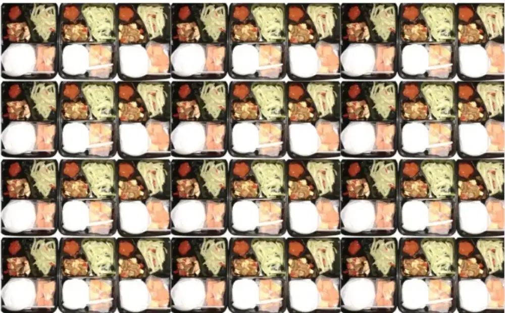 Catering Ekonomis Cempaka Putih