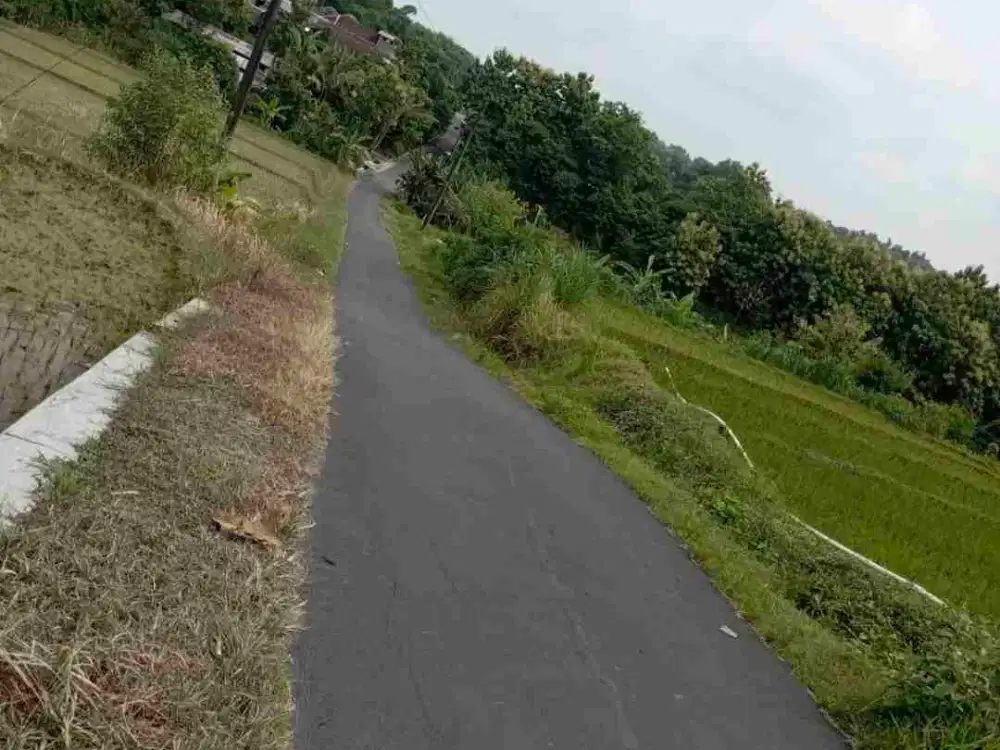 Tanah Karangturi 4950Mt, Ld 165Mt, Gondangrejo, Karanganyar