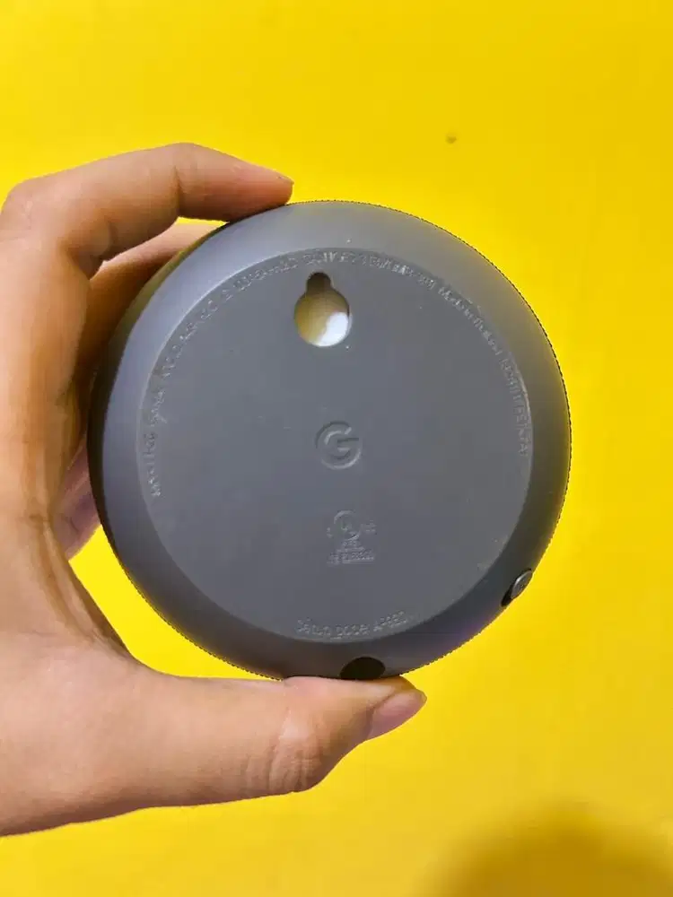 Google Nest Mini Gen 2