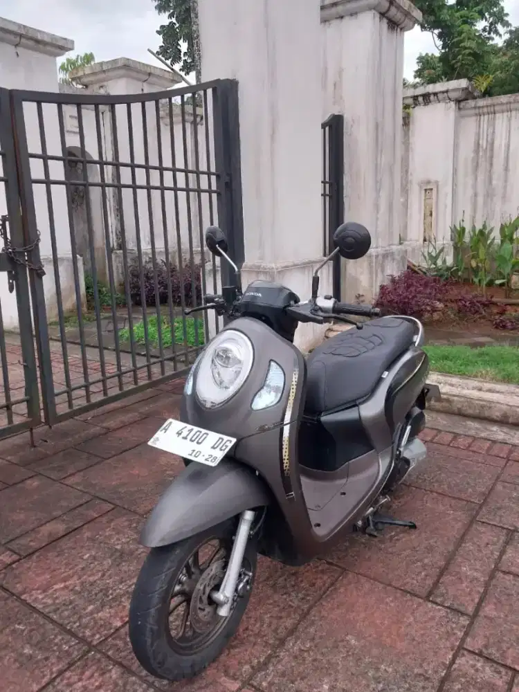Honda Scoopy Stylish 2023