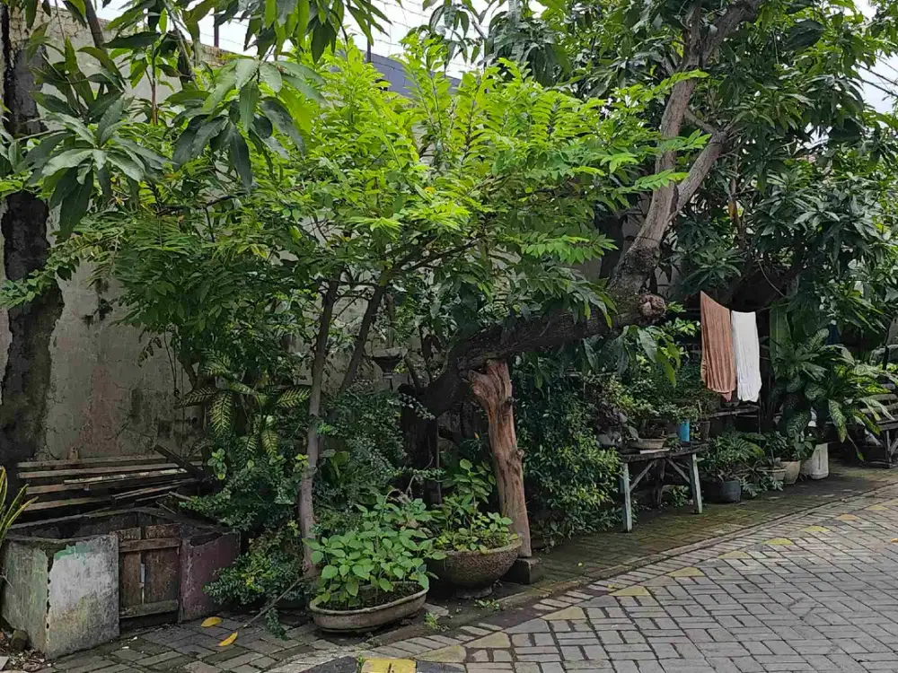 Rumah Jelek Hitung Tanah Bisa Dipecah Jadi 8 Rumah Baru Lebak Jaya