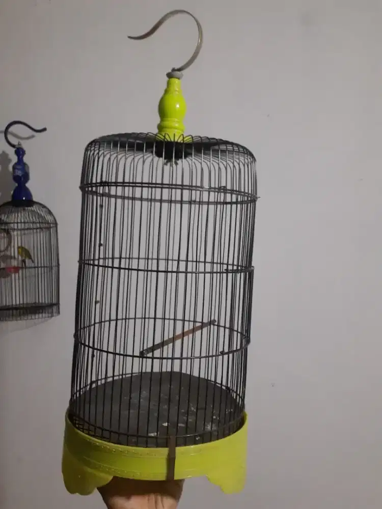 Sangkar burcil masih bagus