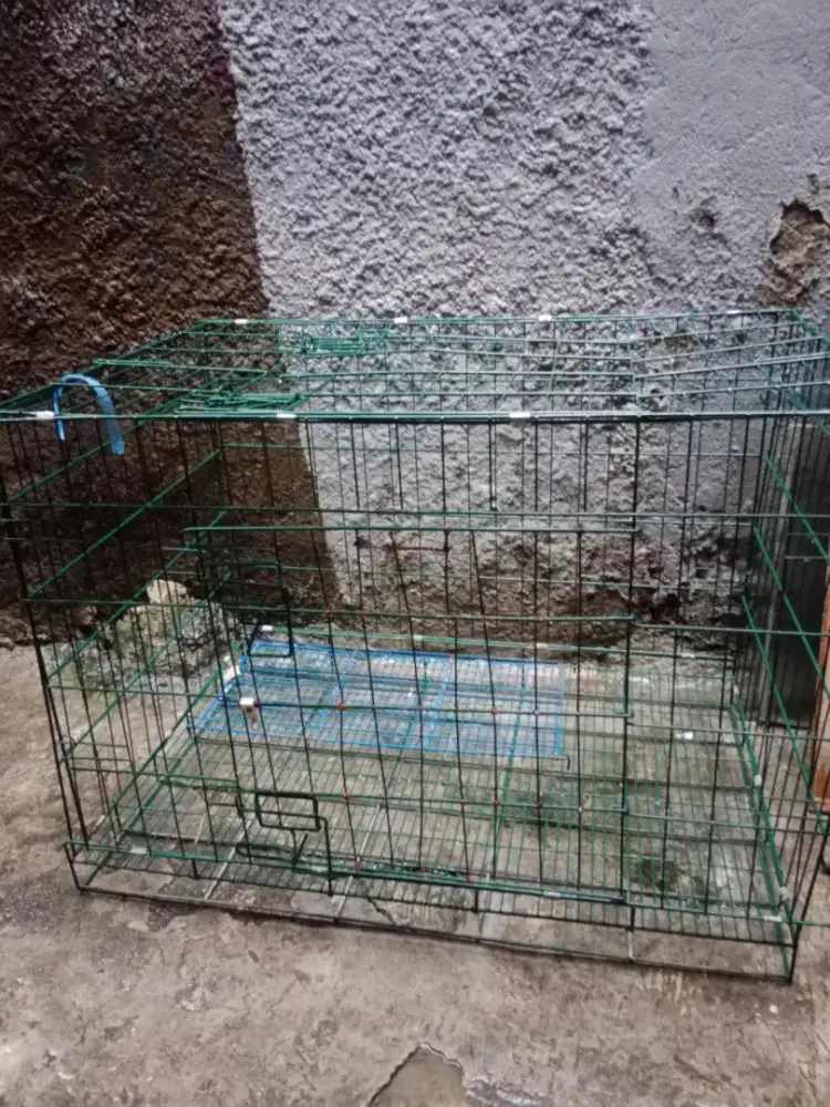 Kandang Anjing / Kucing