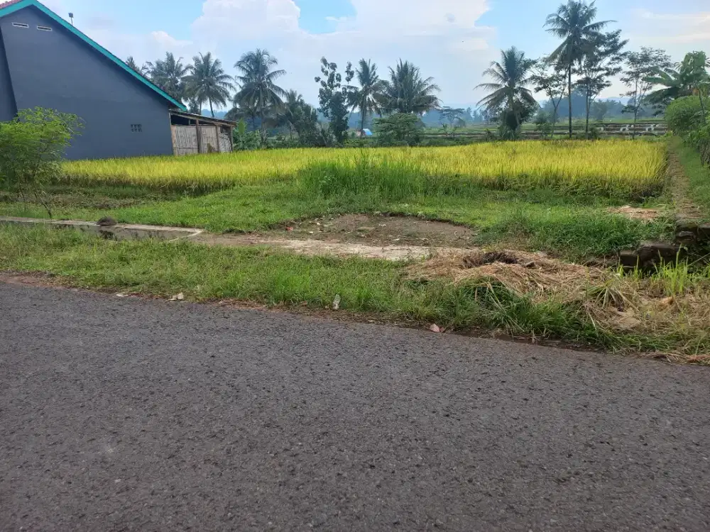 DIJUAL TANAH SAWAH