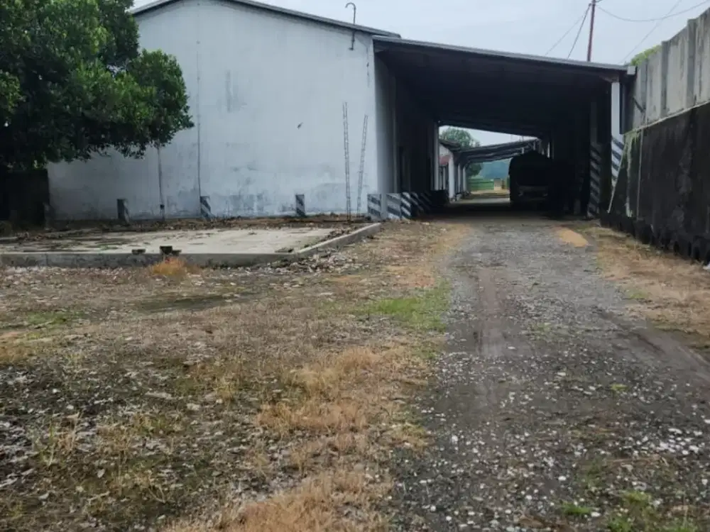 Dijual Gudang Lt.8523 Di Ngeluk Panjunan Pati