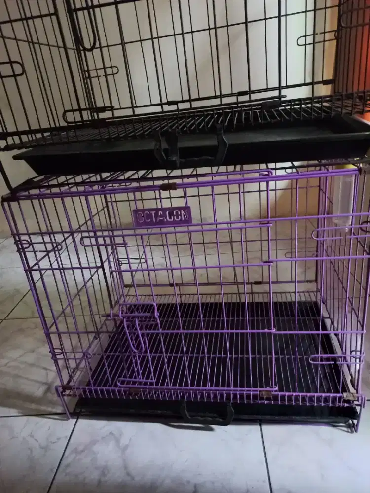 Kandang kucing 2 buah