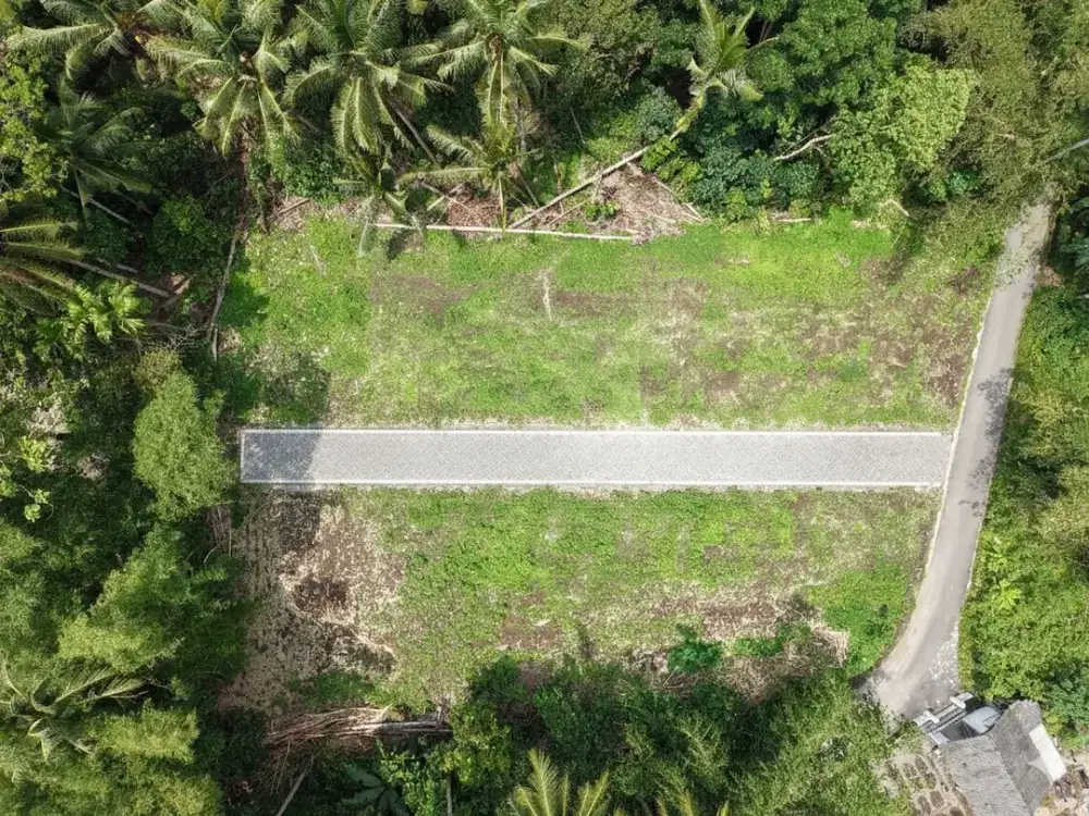 Investasi Tanah Sleman, 8 Menit ke Mini Zoo Exotarium