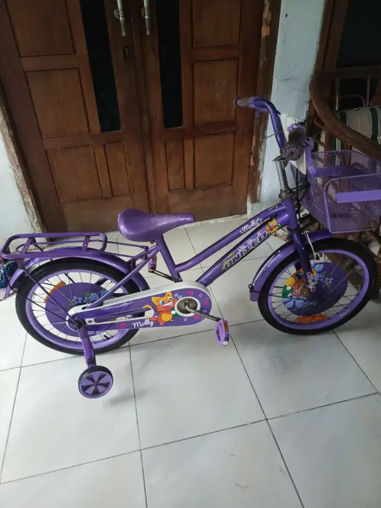 Sepeda united anak u16 murah