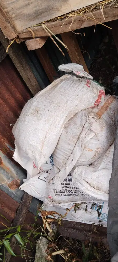 Pupuk Organik Kotoran Kambing