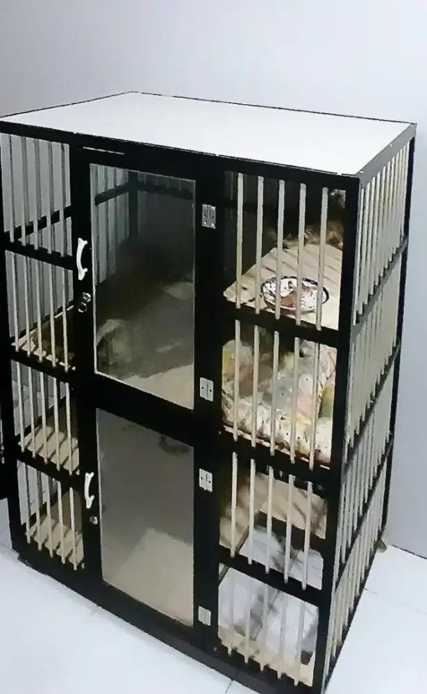 Kandang kucing almunium