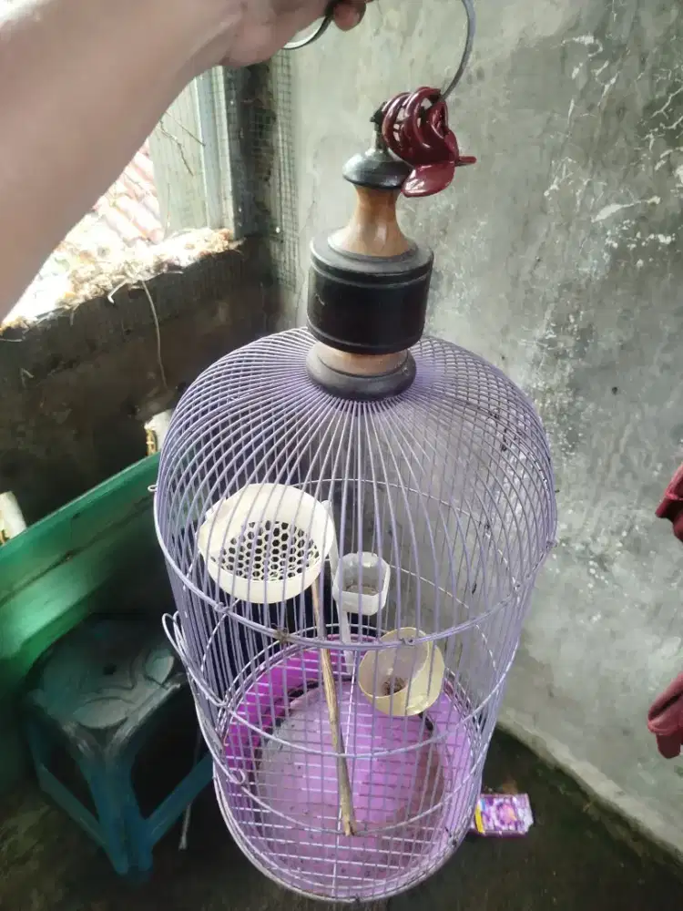 Kandang besi full set dengan alat pakan