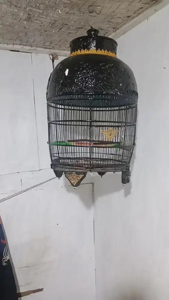 Sangkar burung perkutut