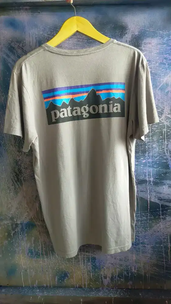 T-shirt kaos patagonia