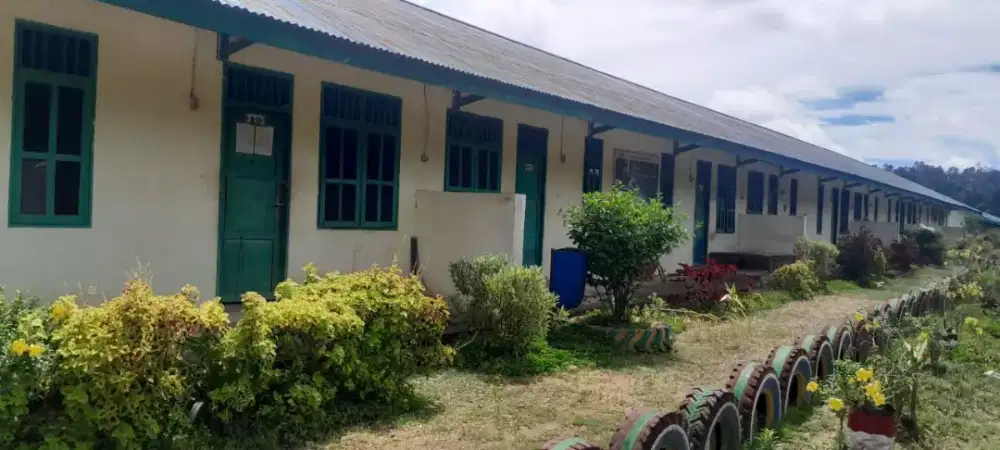 Lowongan Perkebunan Kelapa Sawit