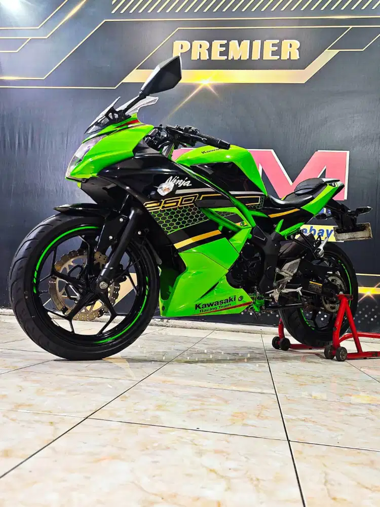 Kawasaki Ninja 250 RR Mono Reg 2021 SE KRT