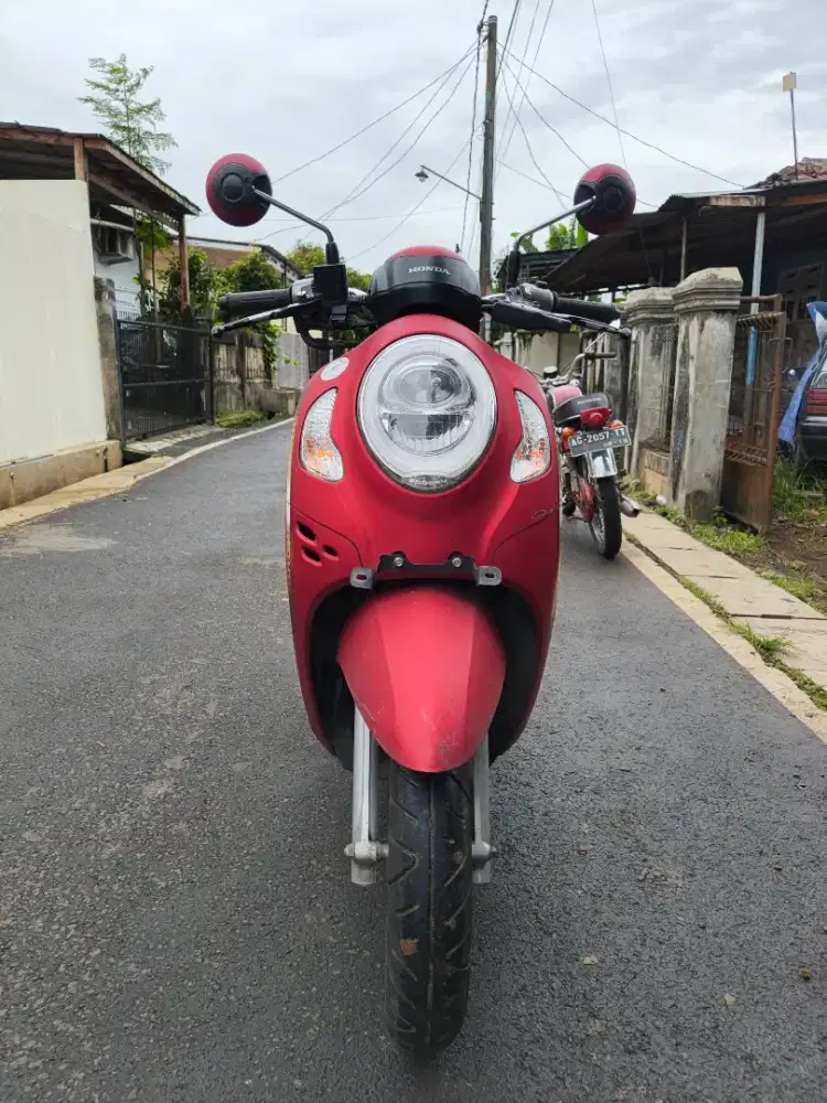 Scoopy stylish 2022