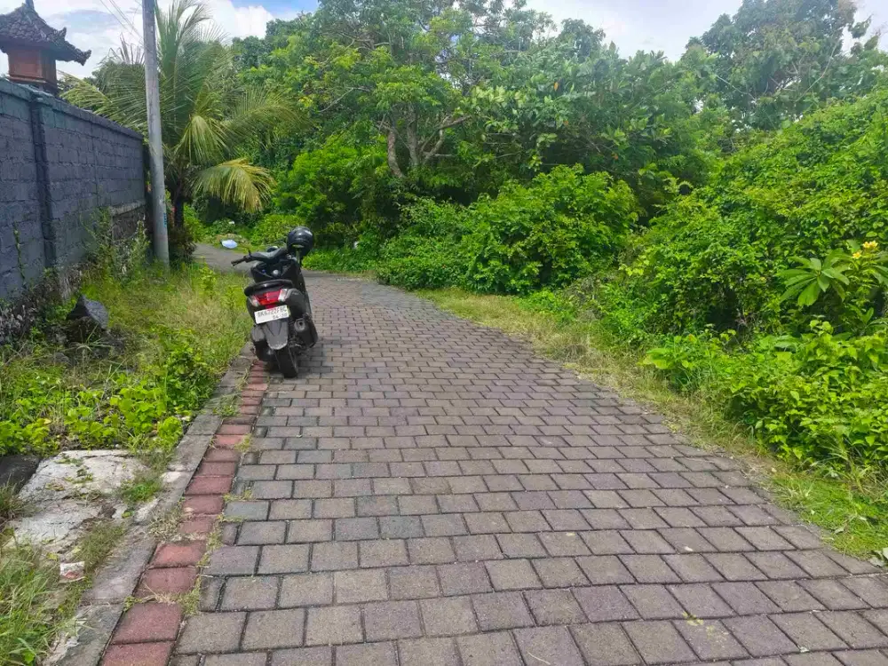 dikontrakkan tanah 5 are IDR 14 juta/are /tahun kawasan toyaning ll ungasan