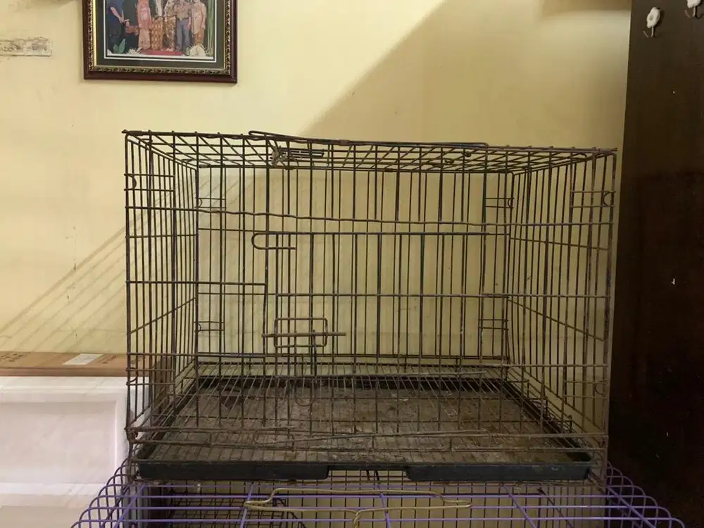 Jual kandang kucing / besi lipat