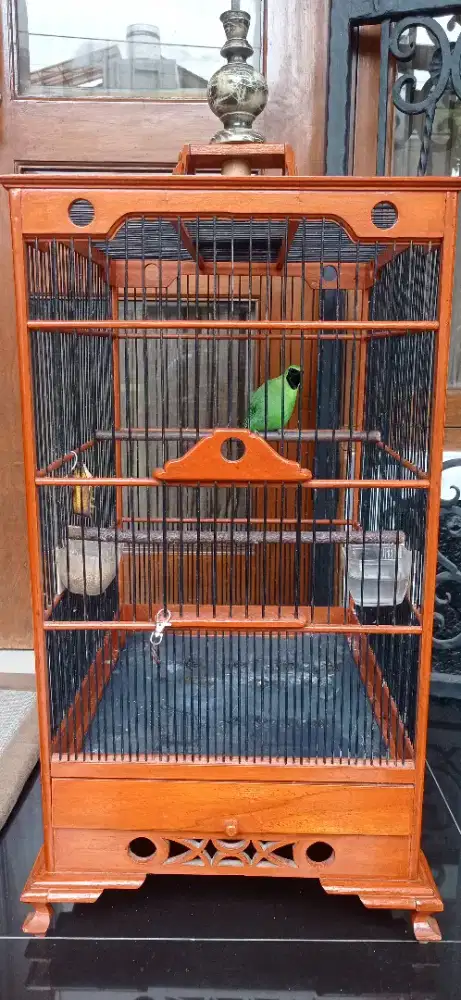 Kandang Burung EBOD no 1 + Isinya Gacor