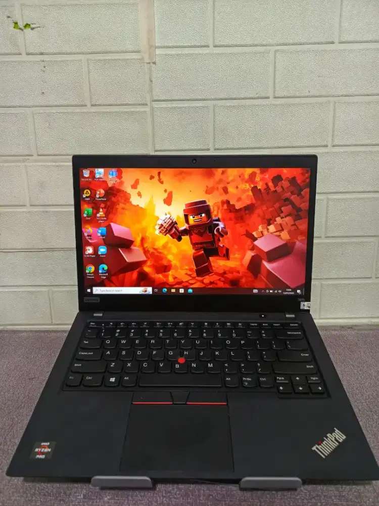 LENOVO THINKPAD T495