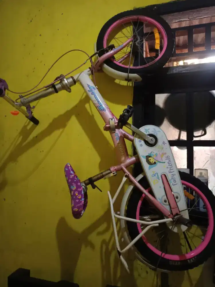 Sepeda anak Family violet