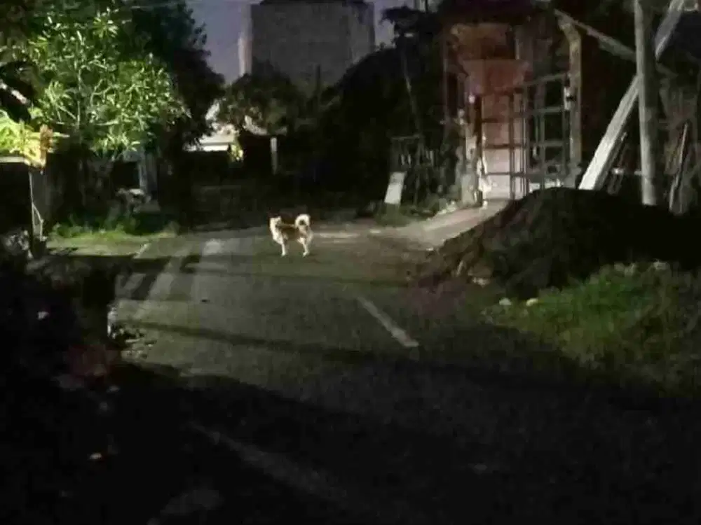 tanah Tukad Badung Renon bali