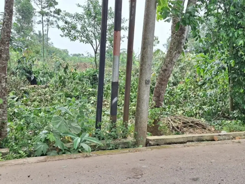 Murah Kavling SHM Cisauk,Dekat BSD Hanya 1,4JT/m