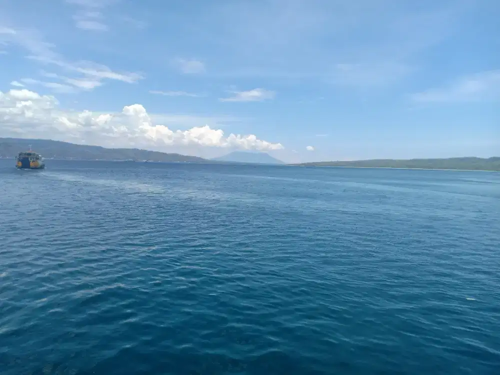 Kesembuhan alami media air dan herbal