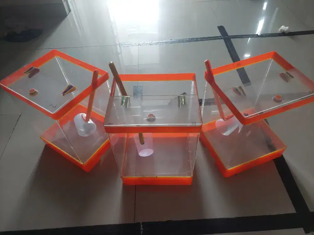 Tempat es buah dan tempat es teh