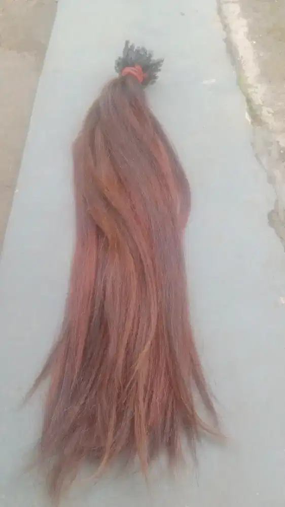 Rambut asli manusia. Perhelainya tebal bisa jdian2. 65.udah warna.