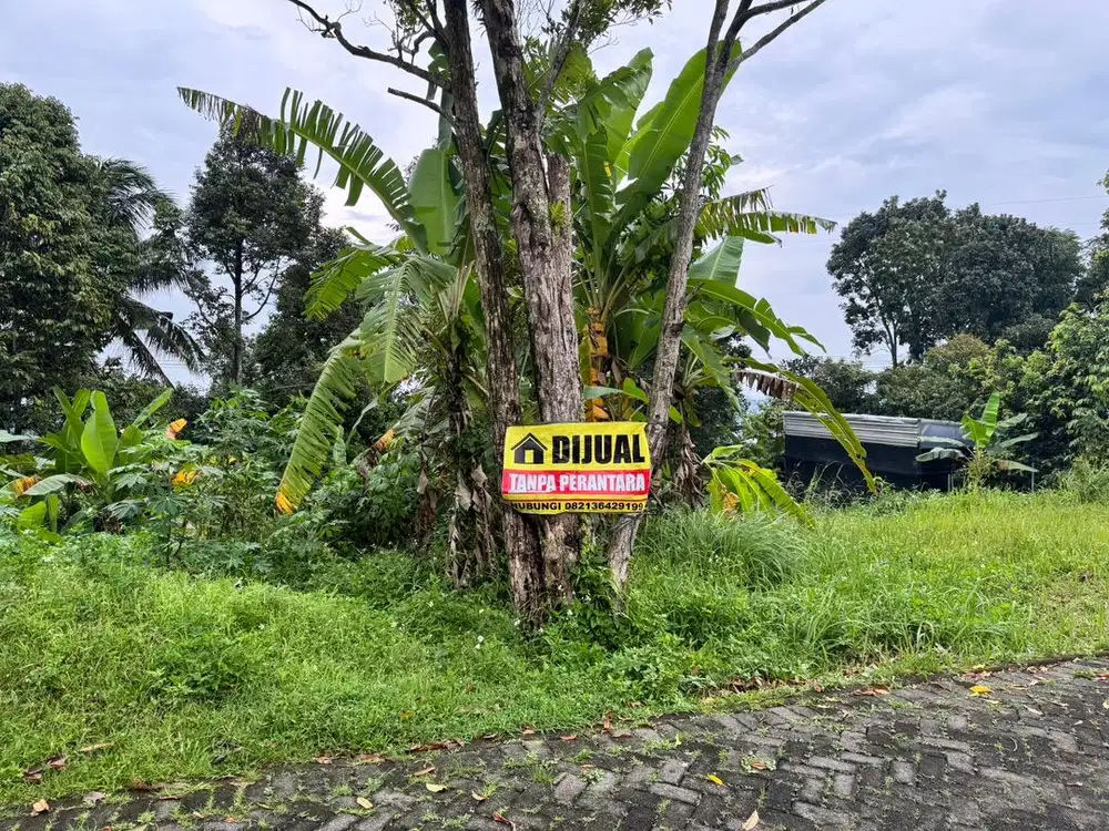 Tanah kebun durian dan pisang raja