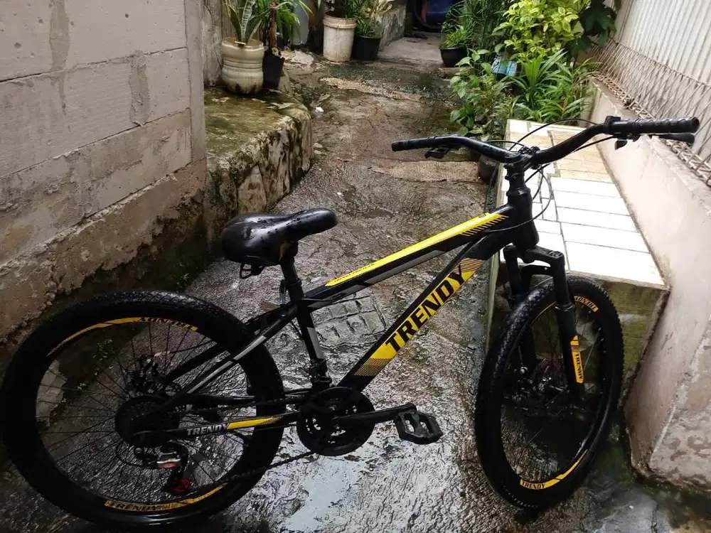 sepeda gunung dewasa