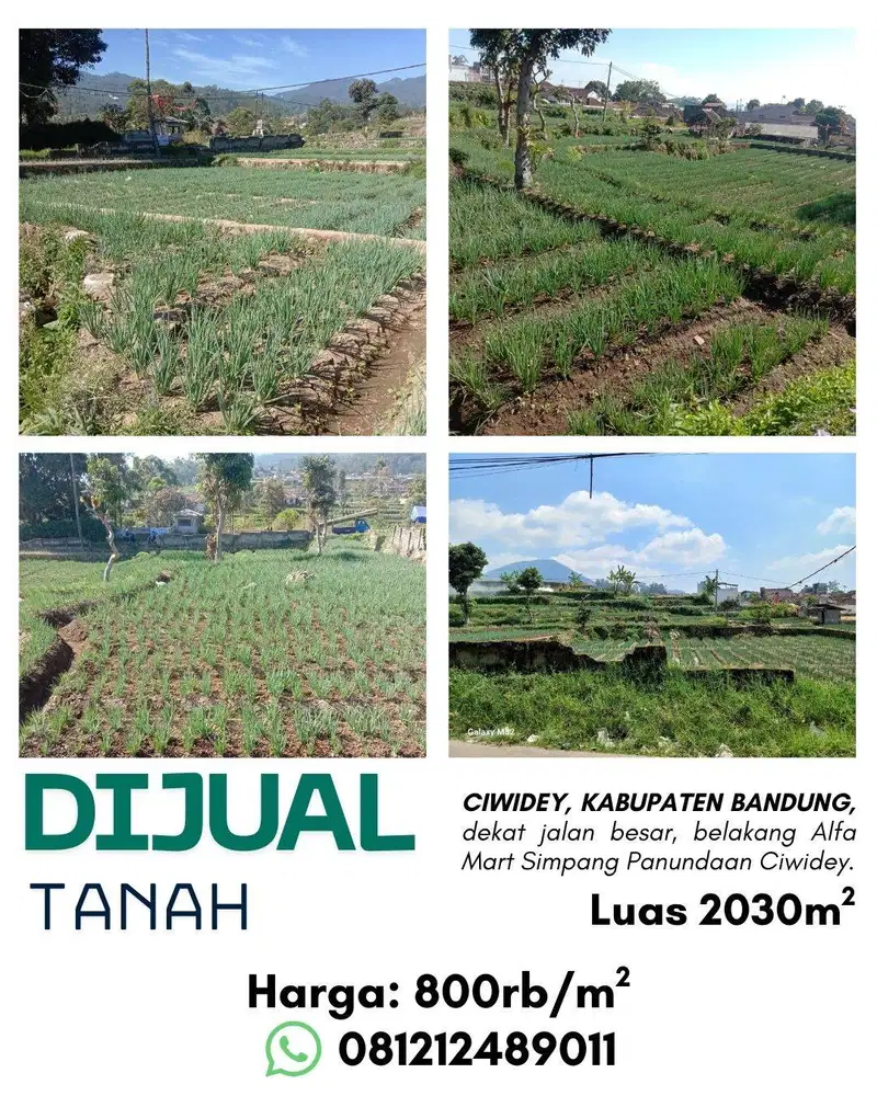 Jual Tanah 2030 m2 di Ciwidey Bandung
