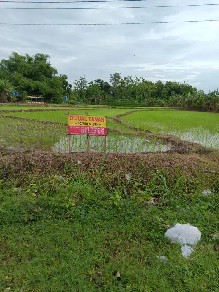 Dijual Tanah Pinggir Jalan Provinsi, SHM, 1,1 Hektar, sangat strategis