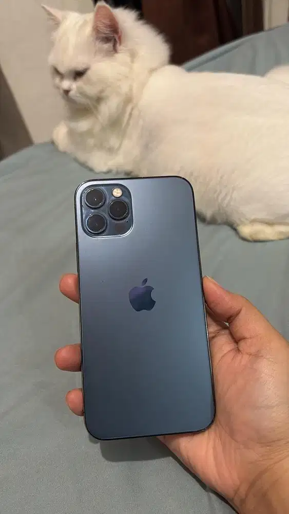 Iphone 12pro 512gb ex inter