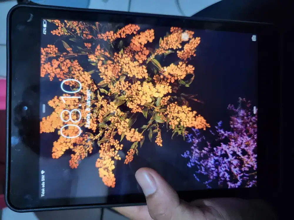 iPad mini 1 Ram gede