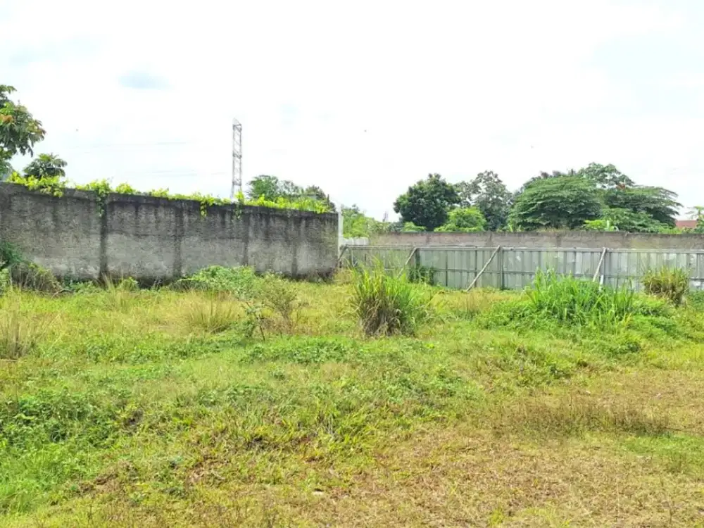 SHM! Tanah Termurah Dekat UNPAM - 300 Jtan - Cocok Rumah/Kost