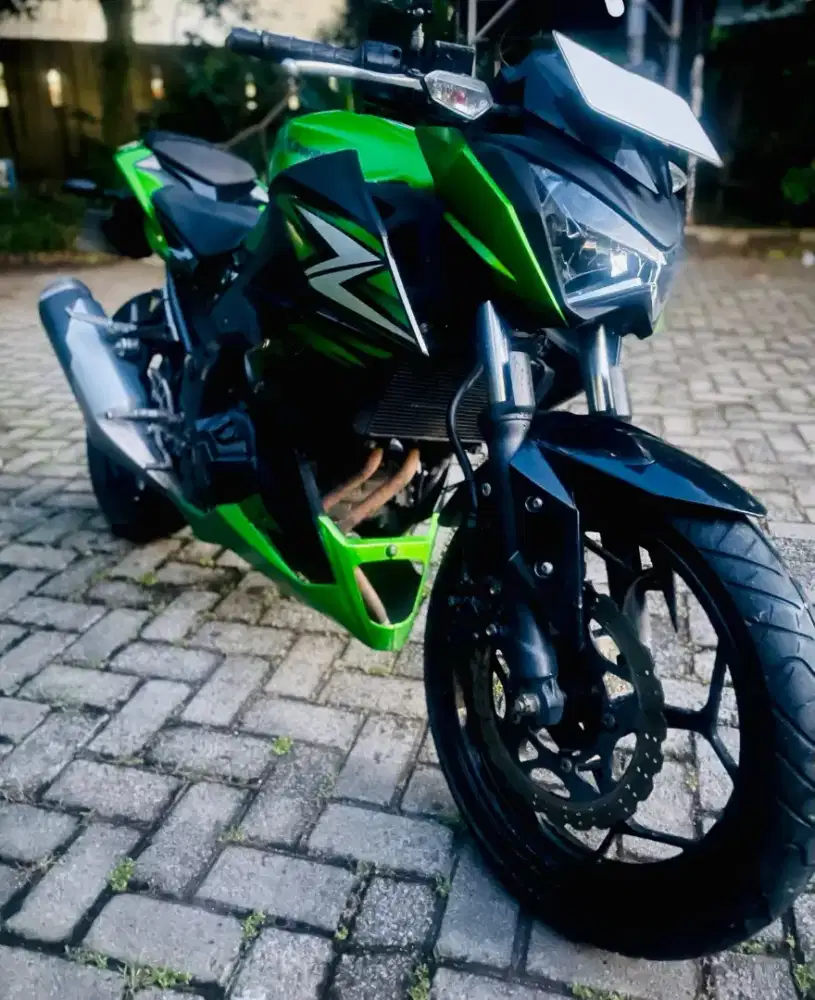 Kawasaki Z250 2014