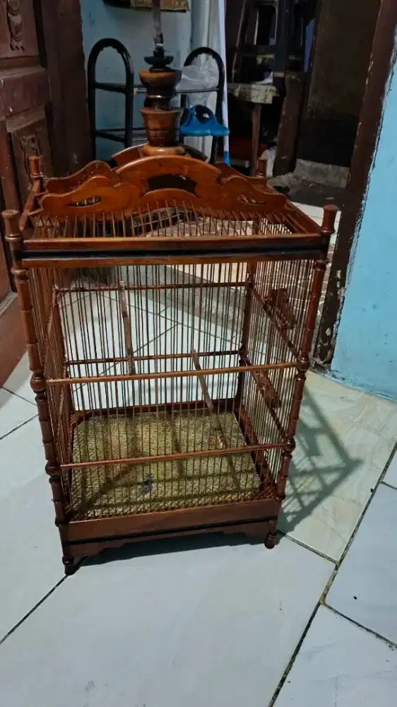 Kandang kayu no 5 ruji agak rapet