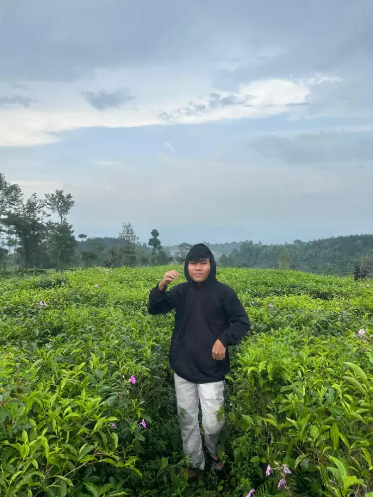 Mencari kerjaan modal ktp