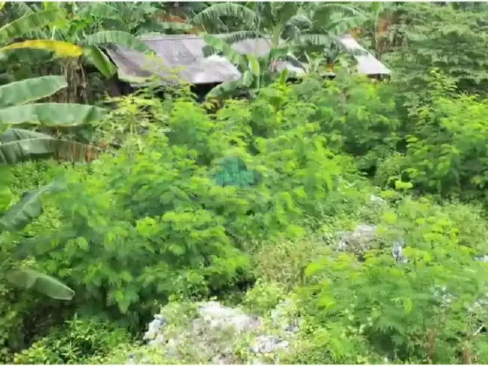 Jual Tanah di Sukamantri, Pasar Kemis - Tangerang