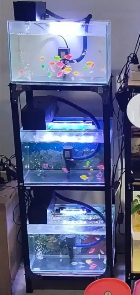Dijual rak dan aquarium