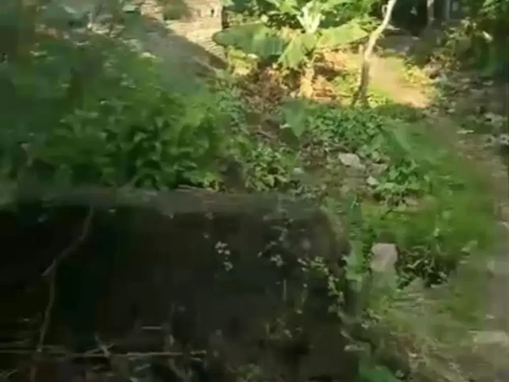 Tanah di jual MURAH  ITR  perumahan dikota Srono Banyuwangi