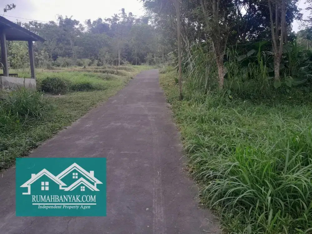 Jual Tanah Pekarangan Murah Di Cangkringan, Cocok Untuk Dibangun Villa