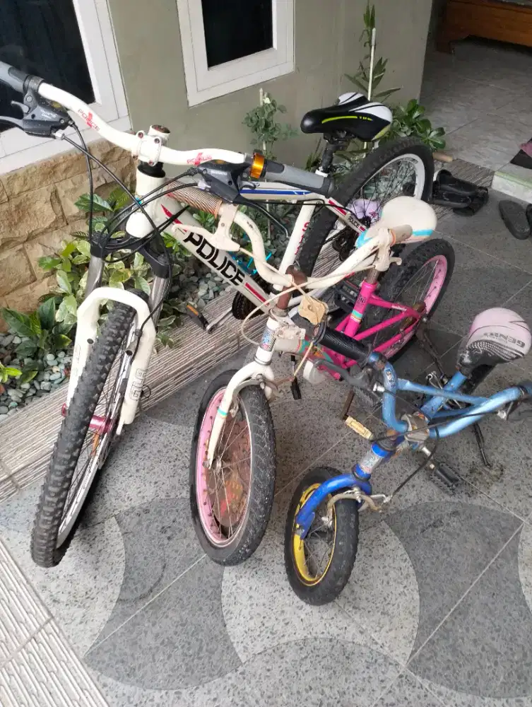 Sepeda dewasa mtb dan Anak