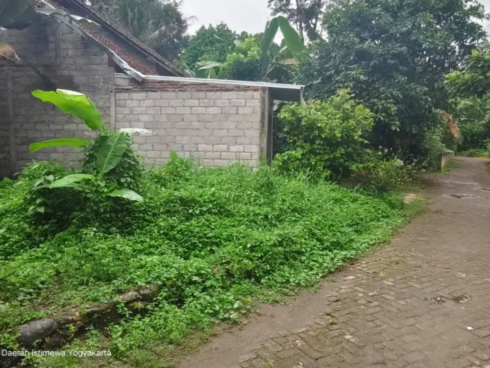 DIJUAL TANAH SHM PEKARANGAN DEKAT DARI KANTOR PEMDA