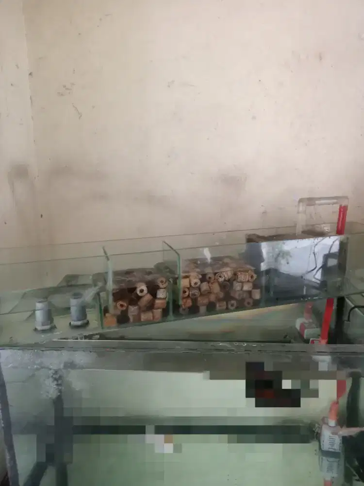Filter aquarium talang kaca